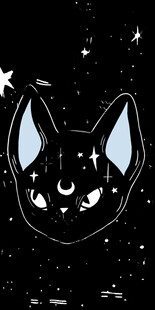 黑色猫咪