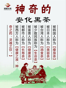 安化黑茶  理想华莱