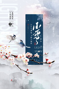 小雪海报 