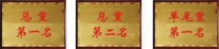 木托奖牌  第一名  标牌