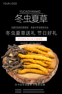 冬虫夏草 