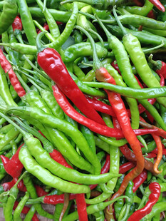 辣椒