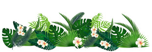 植物2