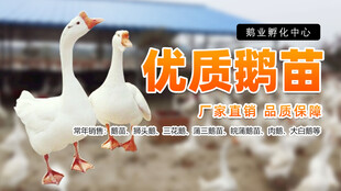 养殖大图