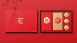 新年包装样机