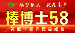 棒博士58海报