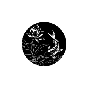 荷花与鱼