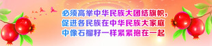 民族大团结  