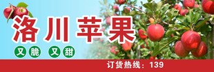 苹果海报