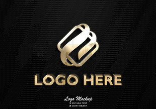 LOGO样机