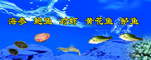 海