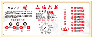 五脏六腑 中医 养生