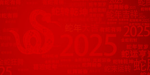 蛇年大吉大气背景