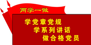 两学一做党旗红旗异型