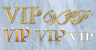 vip会员