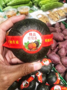 小南瓜 贝贝瓜