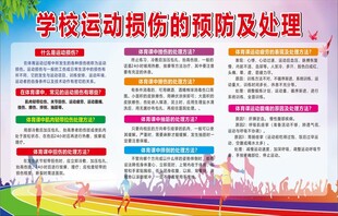 学校运动损伤的预防及处理