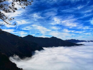 武功山云海