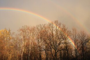 秋天彩虹