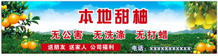 脐橙
