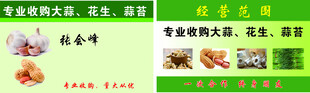 专业收购