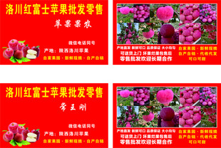 洛川红富士苹果