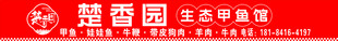 甲鱼炖鸡
