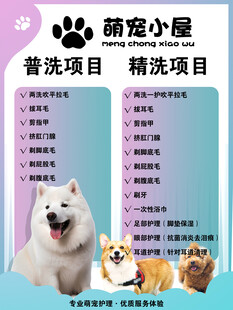 萌宠