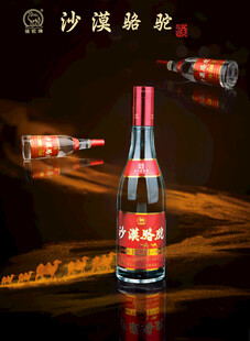 沙漠骆驼白酒海报