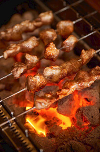 烧烤 肉串