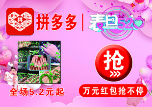 520活动