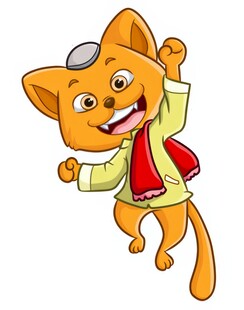 中穆斯林帽红围巾猫