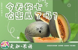 哈密瓜海报
