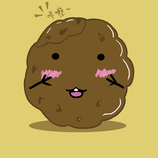 曲奇小饼干