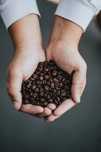 咖啡豆