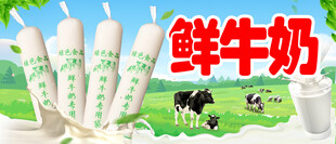 鲜牛奶