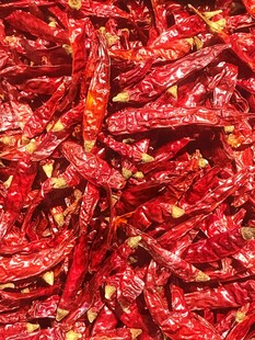干辣椒