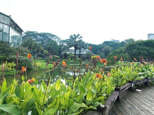 植物园