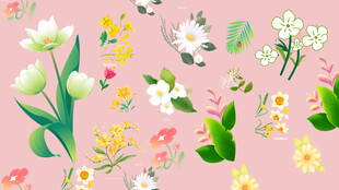 花  草  