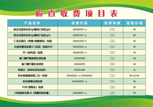 项目表
