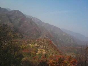秋山