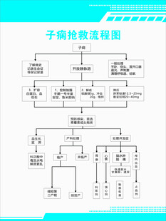 子痫抢救流程图