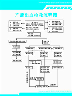 产后出血抢救流程图