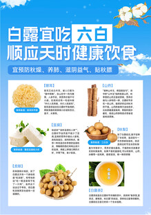 白露24节气养生饮食海报