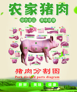 农家猪肉 猪肉分割图