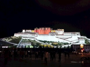 布达拉宫夜景