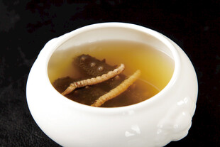 虫草皇炖双参