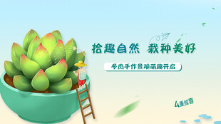 多肉植物