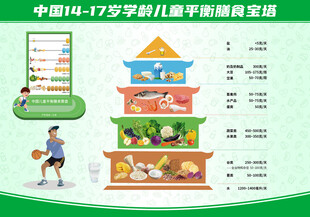 儿童膳食宝塔