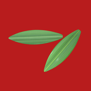 绿植绿叶植物